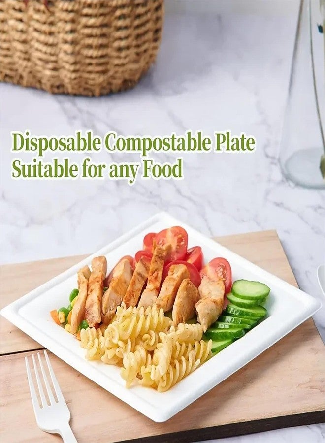 LISHINE 150 Count Square Compostable Paper Plates - 8 Inch White Biodegradable Disposable Dessert Plates for Daily Meals, Dinner, Parties, BBQ - Image 3