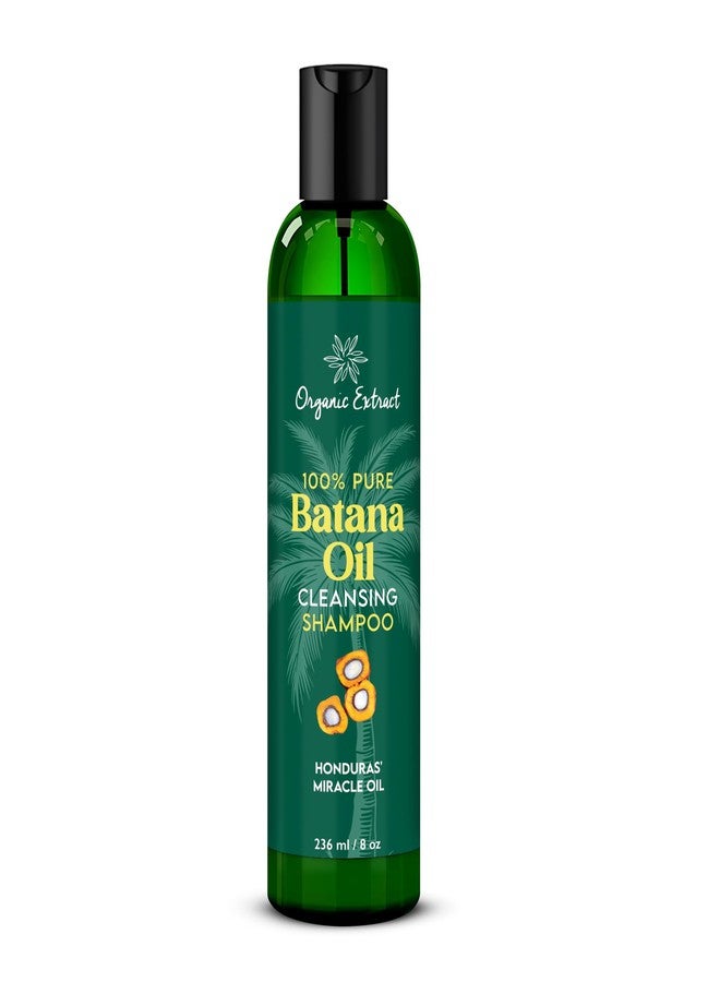 ORGANIC EXTRACT Batana Oil Hair Shampoo – 8 fl oz / 236ml – Nourishing & Rejuvenating Shampoo for Dry Hair – Sulfate-Free & Paraben-Free – Daily Moisturizing Shampoo for Women & Men for All Hair Types - Image 1