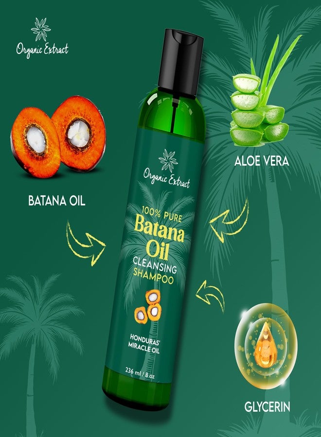 ORGANIC EXTRACT Batana Oil Hair Shampoo – 8 fl oz / 236ml – Nourishing & Rejuvenating Shampoo for Dry Hair – Sulfate-Free & Paraben-Free – Daily Moisturizing Shampoo for Women & Men for All Hair Types - Image 4