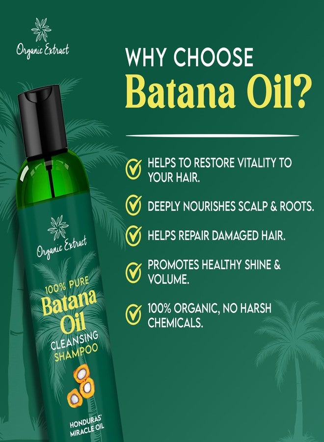 ORGANIC EXTRACT Batana Oil Hair Shampoo – 8 fl oz / 236ml – Nourishing & Rejuvenating Shampoo for Dry Hair – Sulfate-Free & Paraben-Free – Daily Moisturizing Shampoo for Women & Men for All Hair Types - Image 5