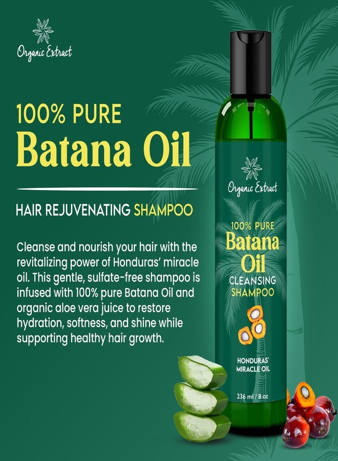 ORGANIC EXTRACT Batana Oil Hair Shampoo – 8 fl oz / 236ml – Nourishing & Rejuvenating Shampoo for Dry Hair – Sulfate-Free & Paraben-Free – Daily Moisturizing Shampoo for Women & Men for All Hair Types - Image 2
