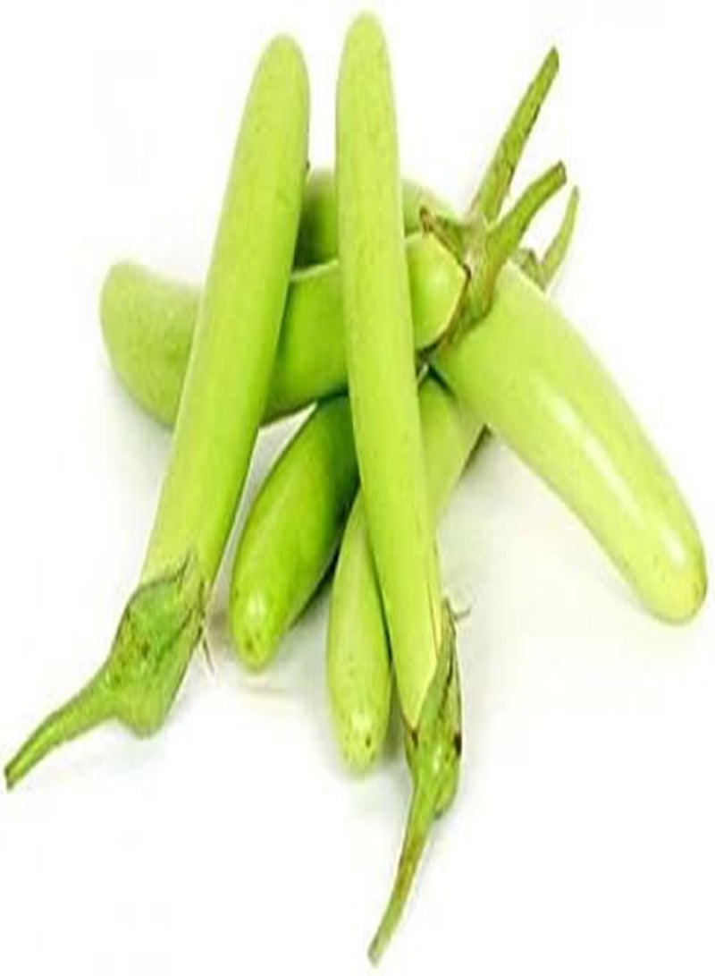 GGOOT Eggplant Seeds (PKD) Solanum Melongena (Thai Long Green, 30 Seeds) - Image 1