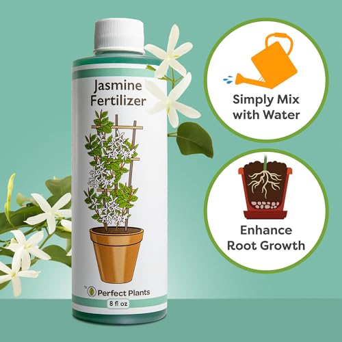 PERFECT PLANTS سماد الياسمين السائل من بيرفكت بلانتس | 8 أونصات من غذاء الياسمين المركز الممتاز للداخل والخارج | استخدمه مع الياسمين العطري والمزهر | معزز الإزهار - Image 3