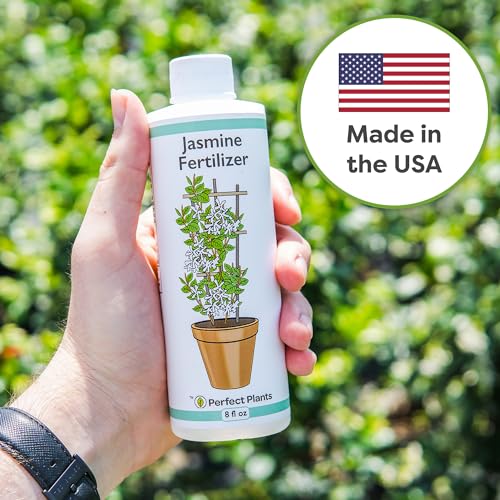 PERFECT PLANTS سماد الياسمين السائل من بيرفكت بلانتس | 8 أونصات من غذاء الياسمين المركز الممتاز للداخل والخارج | استخدمه مع الياسمين العطري والمزهر | معزز الإزهار - Image 2