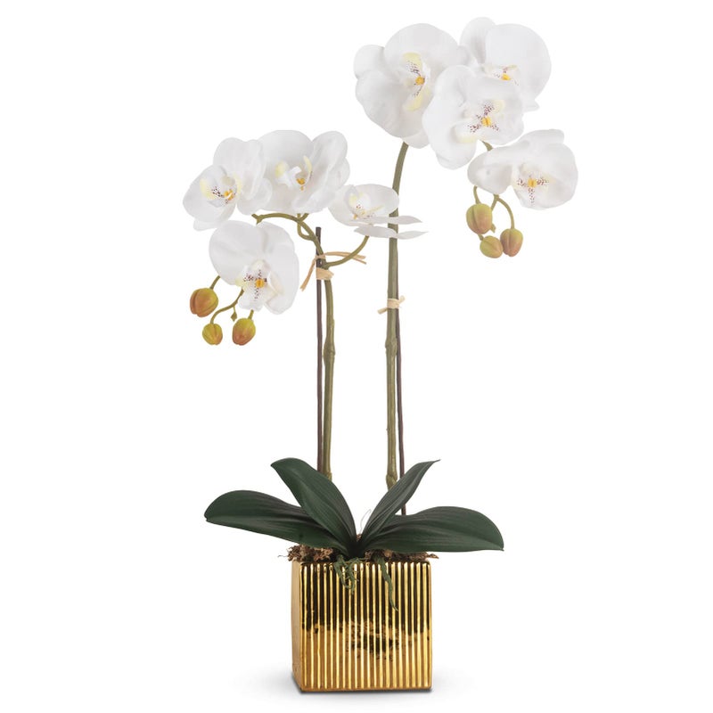 Ziwon Artificial Orchid Flowers Potted in Ceramic Pot White Faux Phalaenopsis Orchids for Table Centerpiece Realistic Fake Flower in vase for Home Office Decor Indoor