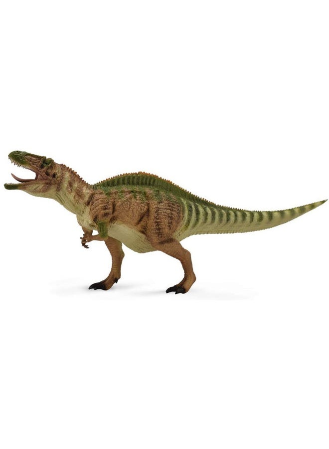 Collecta - Acrocanthosaurus Dinosaur - 89804 - Image 1