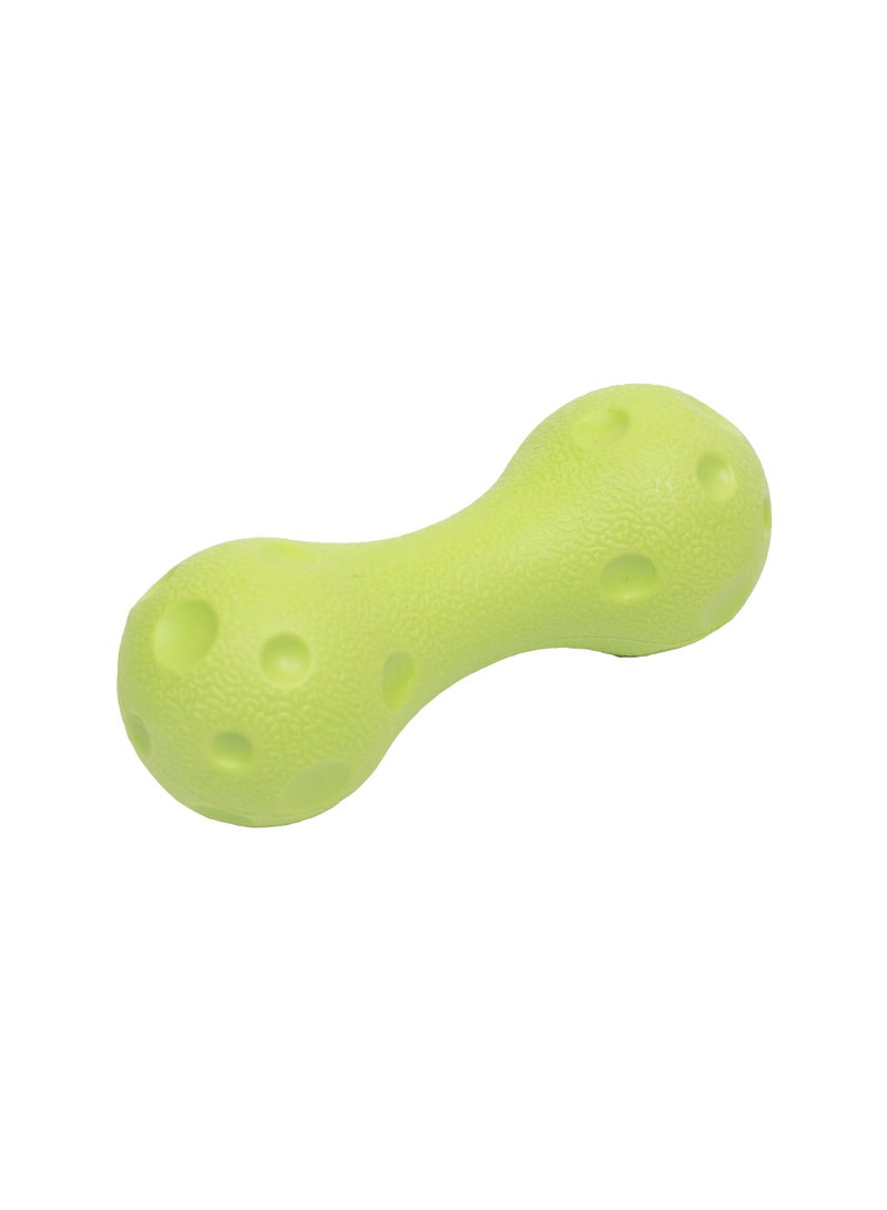 PL - لعبة الدمبل التي تصدر صوت صرير - صغيرة - خضراء