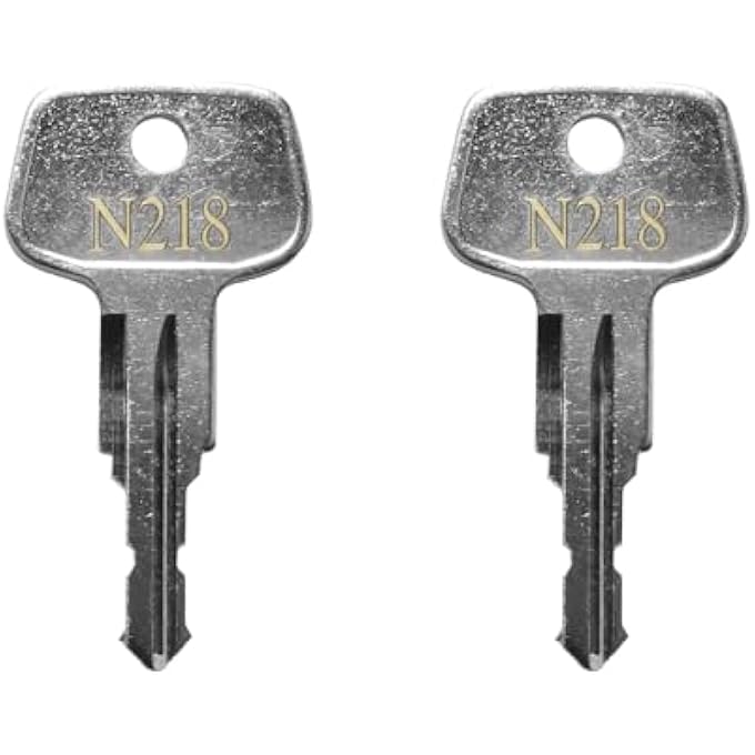 rayihni N218 Thule Car Rack Replacement Key,Errebi Thule Replacement Key for Roof Racks,Carriers,Crossbars-Codes N218[2 pac] - Image 1
