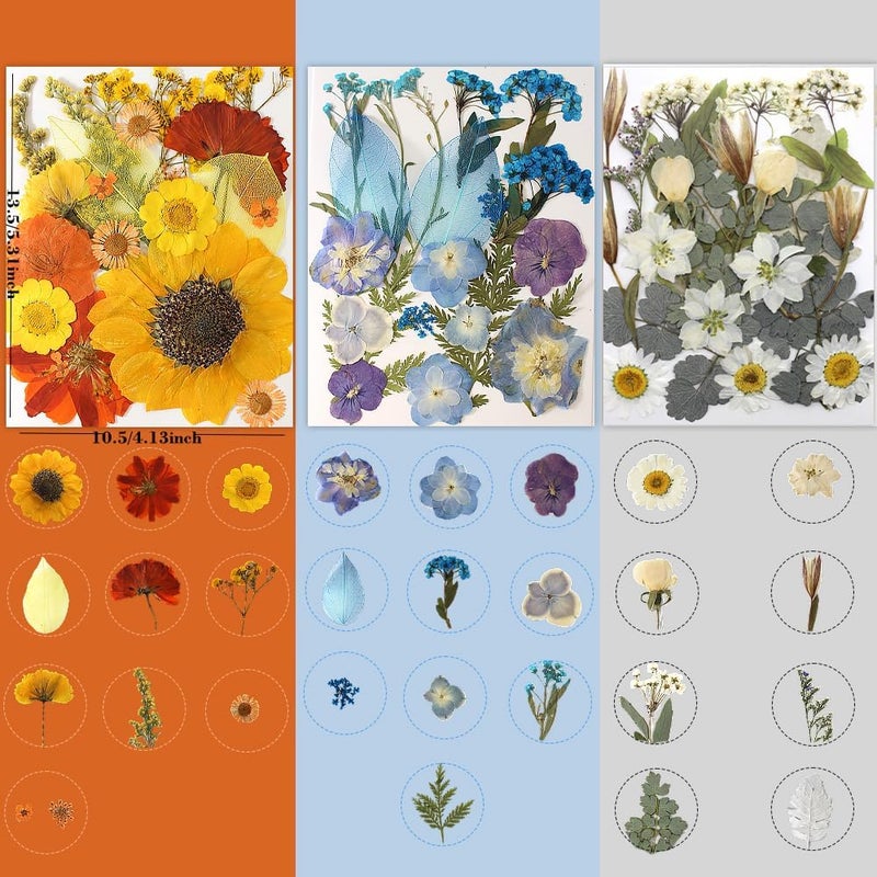 Buzidao 180Pcs Dried Pressed Flowers, Natural Dried Flowers Bulk for Resin, Mixed Color Dried Flowers for DIY Crafts, Candle Holders, Nails, Epoxy Resin Jewelry, Floral DIY Art, Decor, DIY Supplies Kits - Image 3