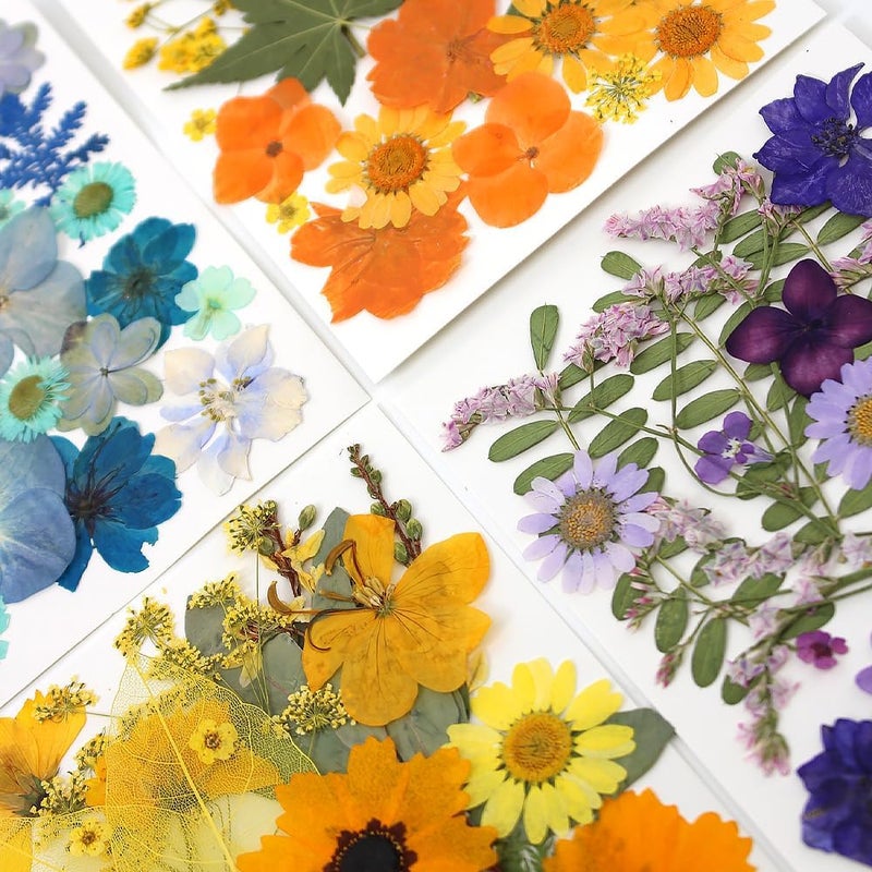 Buzidao 180Pcs Dried Pressed Flowers, Natural Dried Flowers Bulk for Resin, Mixed Color Dried Flowers for DIY Crafts, Candle Holders, Nails, Epoxy Resin Jewelry, Floral DIY Art, Decor, DIY Supplies Kits - Image 5