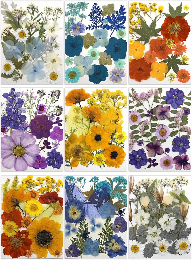 Buzidao 180Pcs Dried Pressed Flowers, Natural Dried Flowers Bulk for Resin, Mixed Color Dried Flowers for DIY Crafts, Candle Holders, Nails, Epoxy Resin Jewelry, Floral DIY Art, Decor, DIY Supplies Kits - Image 1