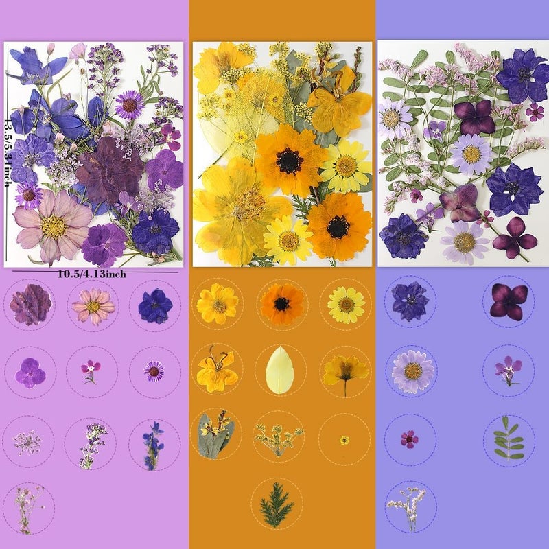 Buzidao 180Pcs Dried Pressed Flowers, Natural Dried Flowers Bulk for Resin, Mixed Color Dried Flowers for DIY Crafts, Candle Holders, Nails, Epoxy Resin Jewelry, Floral DIY Art, Decor, DIY Supplies Kits - Image 2