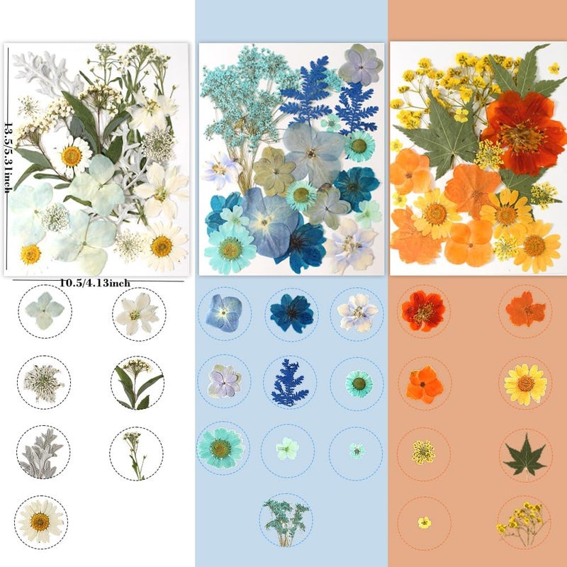 Buzidao 180Pcs Dried Pressed Flowers, Natural Dried Flowers Bulk for Resin, Mixed Color Dried Flowers for DIY Crafts, Candle Holders, Nails, Epoxy Resin Jewelry, Floral DIY Art, Decor, DIY Supplies Kits - Image 4