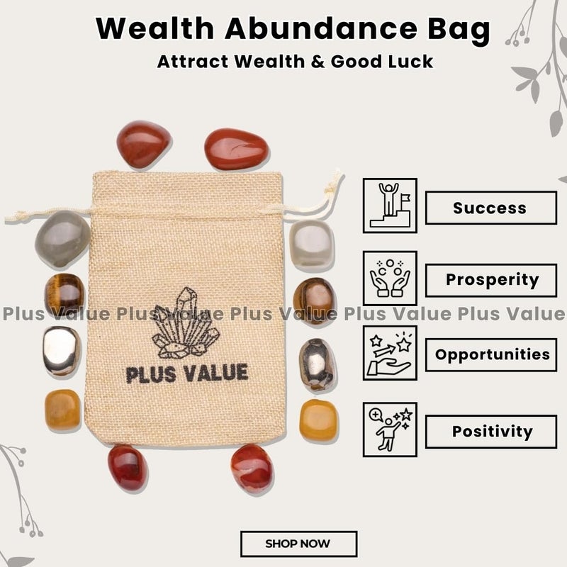 Plus Value Abundance Bag Handpicked Healing Crystals to Attract Wealth Prosperity Money Magnet Finance Vastu Feng Shui Reiki Pyrite Green Aventurine Tiger Eye Yellow Aventurine Red Jasper Carnelian - Image 2
