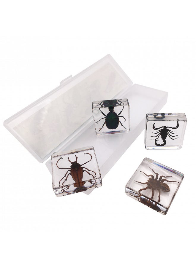 WhizKidsLab 4 Real Bugs Insect Arachnid Resin Specimen STEM Set Magnifier Fun Fact Sheet Poster  - Image 4