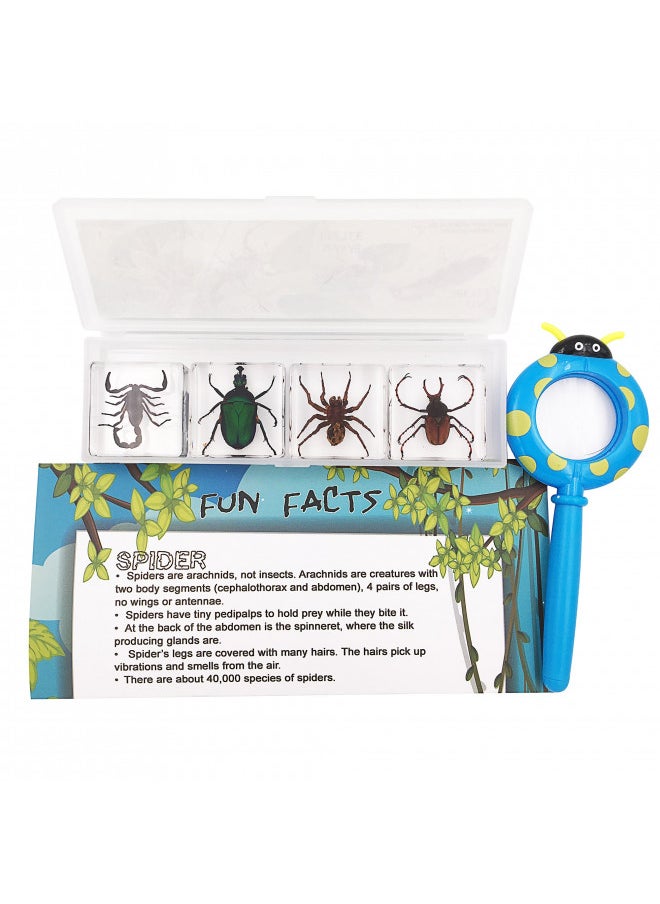 WhizKidsLab 4 Real Bugs Insect Arachnid Resin Specimen STEM Set Magnifier Fun Fact Sheet Poster  - Image 1