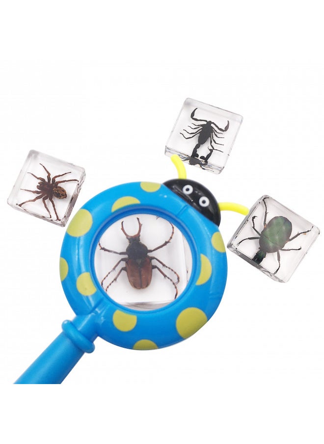 WhizKidsLab 4 Real Bugs Insect Arachnid Resin Specimen STEM Set Magnifier Fun Fact Sheet Poster  - Image 2