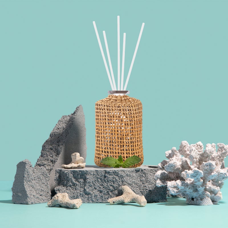 100 pcs Fiber Diffuser Sticks Fragrance Aromatherapy Diffuser Sticks for Essential Oils Sticks Small Diffuser for Desk Air Freshener - Image 5