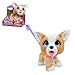 furReal PoopALots Corgi Interactive 8inch Walking Plush Stuffed Animal Pooping Puppy with Leash 14pieces Kids Toys for Ages 4 Up by Just Play - Image 2
