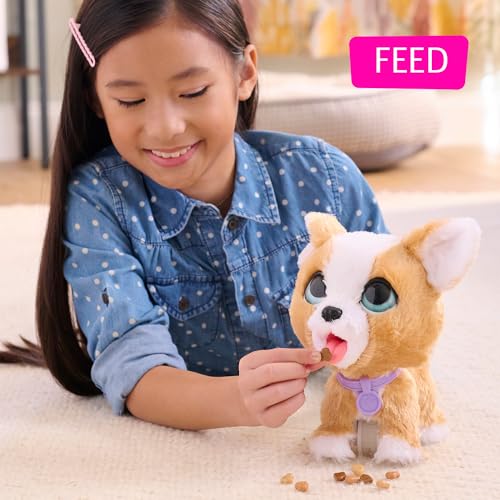 furReal PoopALots Corgi Interactive 8inch Walking Plush Stuffed Animal Pooping Puppy with Leash 14pieces Kids Toys for Ages 4 Up by Just Play - Image 5