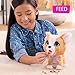 furReal PoopALots Corgi Interactive 8inch Walking Plush Stuffed Animal Pooping Puppy with Leash 14pieces Kids Toys for Ages 4 Up by Just Play - Image 4
