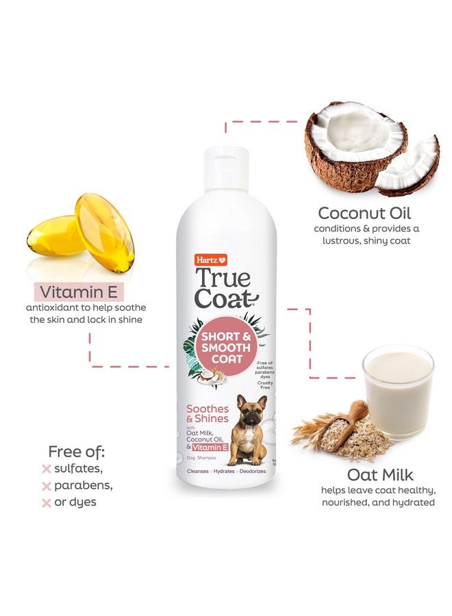 Hartz New! Hartz True Coat Short & Smooth Coat Specific Dog Shampoo, Soothes & Shines with Oat Milk, Coconut Oil & Vitamin E - Image 4
