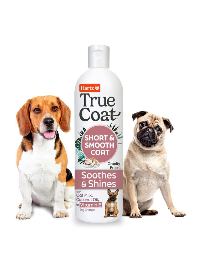 Hartz New! Hartz True Coat Short & Smooth Coat Specific Dog Shampoo, Soothes & Shines with Oat Milk, Coconut Oil & Vitamin E - Image 1