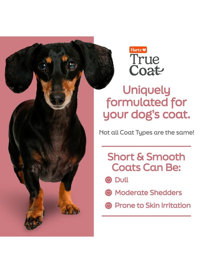 Hartz New! Hartz True Coat Short & Smooth Coat Specific Dog Shampoo, Soothes & Shines with Oat Milk, Coconut Oil & Vitamin E - Image 2