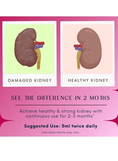BLISS OF EARTH Kidney Detox Supplement For Kidney Stone Sugar Free Herbal Cleanse Prevents Kidney Stones Dissolves Early Stage Kidney Stones 200ml Pack of 2  - Image 4