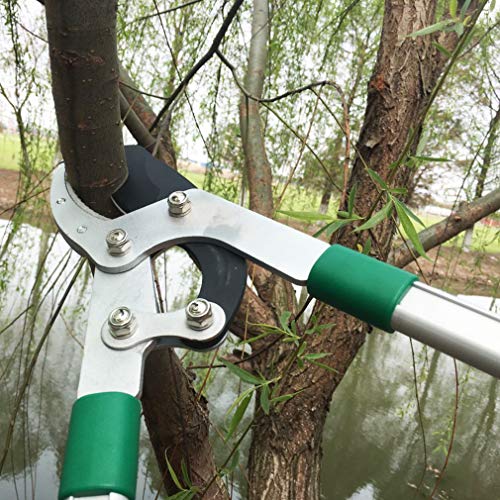 glorousamc TUOSEN SK5 High-Performance Compound Action Anvil Lopper,Chops Thick Branches with Ease,2 Inch Cutting Capacity,28inch-40inch Telescoping Lopper, Tree Trimmer with Sturdy&Comfortable Handle - Image 5