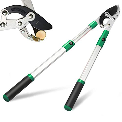 glorousamc TUOSEN SK5 High-Performance Compound Action Anvil Lopper,Chops Thick Branches with Ease,2 Inch Cutting Capacity,28inch-40inch Telescoping Lopper, Tree Trimmer with Sturdy&Comfortable Handle - Image 1