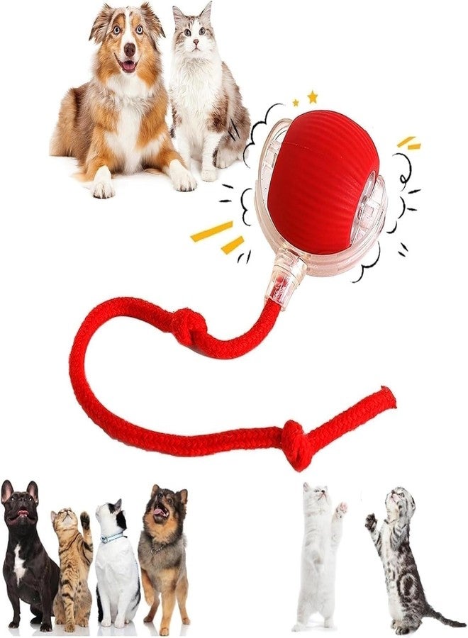 LEAFZY Smart Rolling LED Pet Ball - USB Charging, Motion-Activated for Indoor Play, Fun for Kittens, Puppies & Small Dogs, Enhances Activity & Play3 - Image 1