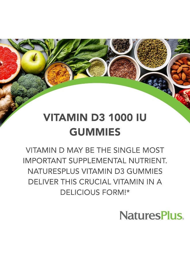 NaturesPlus Vitamin D3 Gummies Mixed Berry for Kids - 120 Total Gummies - Image 2