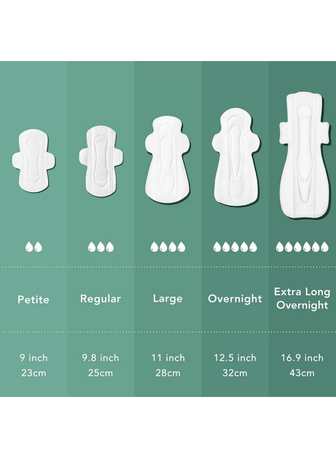 رائيل فوط رايل للنساء، غطاء من القطن العضوي - فوط صحية بأجنحة، للعناية النسائية، فوط صحية، امتصاص خفيف، بدون رائحة، رقيقة للغاية (صغيرة الحجم، 56 قطعة) - Image 5