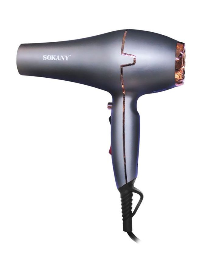 NIBEMINENT Sk-8807 Professional Hair Dryer Grey/Gold - Image 1