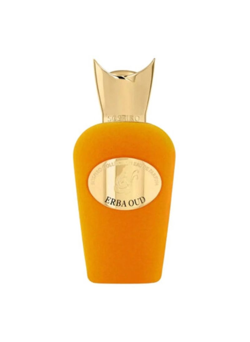 Erba Oud EDP 100 ML - pzsku/ZB8129357641AC2312314Z/45/1741396493/7c330605-de39-4903-b9e3-88a77deb56e3