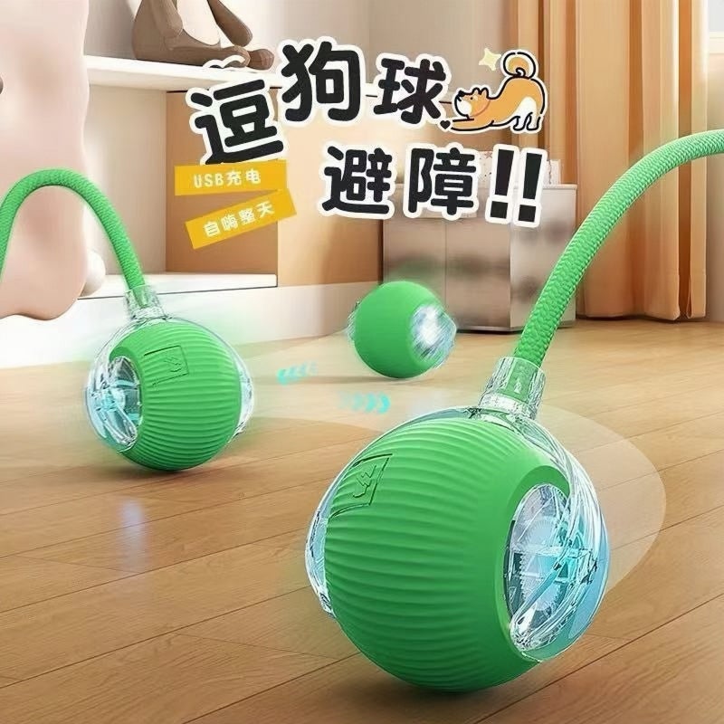 Interactive Cat Toy Auto Rolling Ball with Rope - Image 3