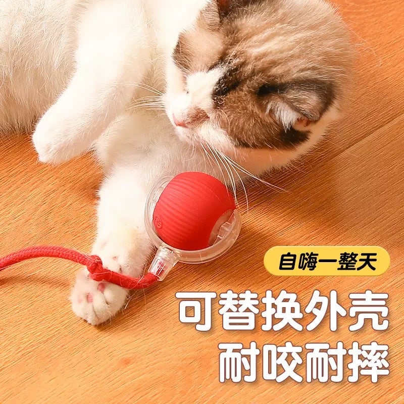 Interactive Cat Toy Auto Rolling Ball with Rope - Image 4