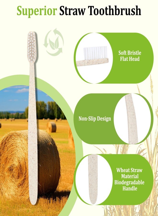Bullro Disposable Wheat Straw Toothbrushes Kit - 50 Pcs Toothbrush and Toothpaste(6g) Bulk, Individually Wrapped Disposable Amenities for Hotel, Airbnb, Travel, Camping, Homeless & Guest Use - Image 3