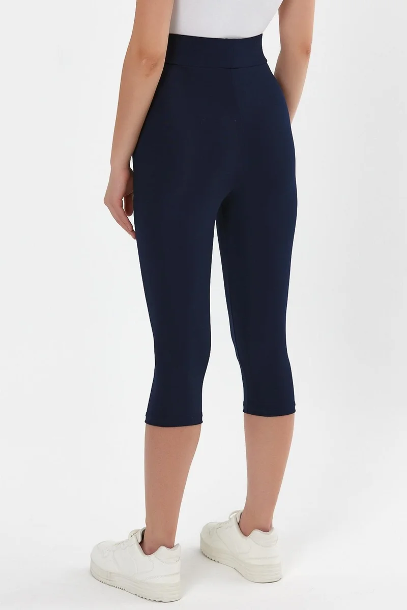 Alexander Gardi High Waist Capri Leggings (B23-005300)