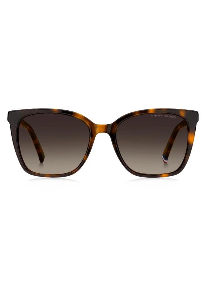 Wayfarers Sunglasses