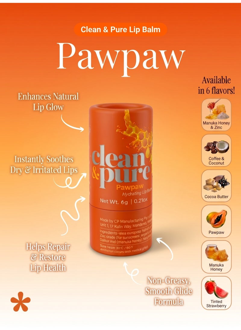 Clean & Pure Pawpaw Lip Balm – 100% Natural with Pawpaw & Olive Oil, Hydrates, Soothes & Repairs Dry Lips, 6g - Image 4