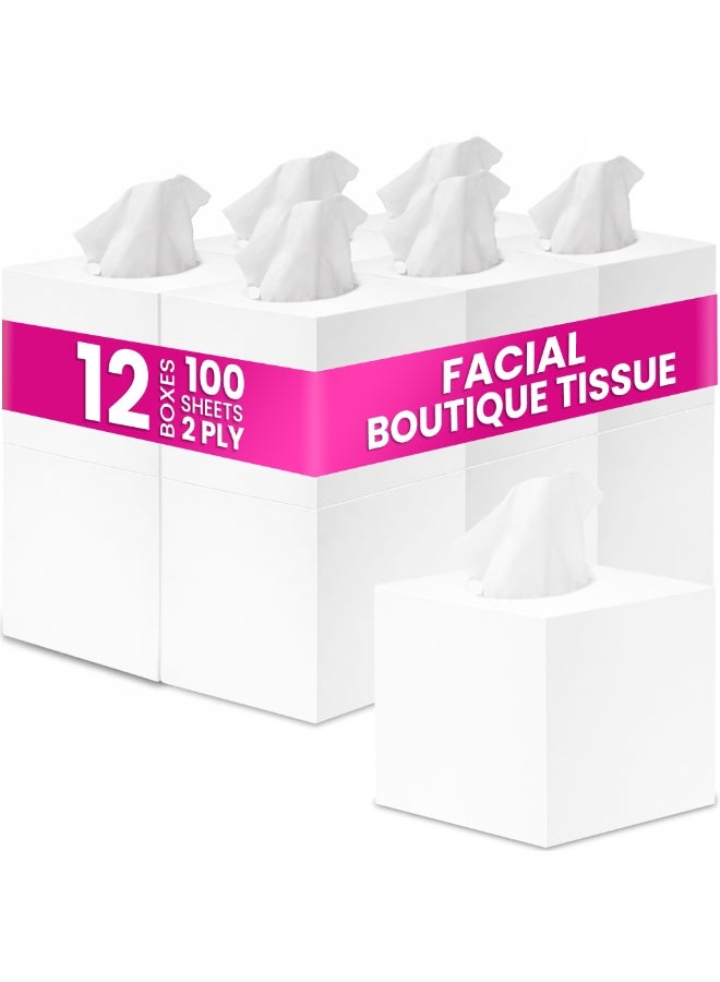 SNH Packing Cubic Box Facial Tissue Pack of 12, 2 Ply x 100 Tissues Each Cube Box White - Image 1