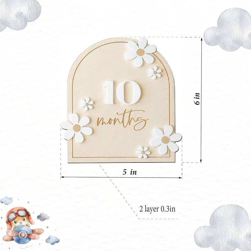 Haoser Daisy 3D Baby Monthly Milestone, Wooden Baby Milestone Signs, Monthly Milestone Wood Discs, Baby Milestone Discs (Daisy) - Image 3