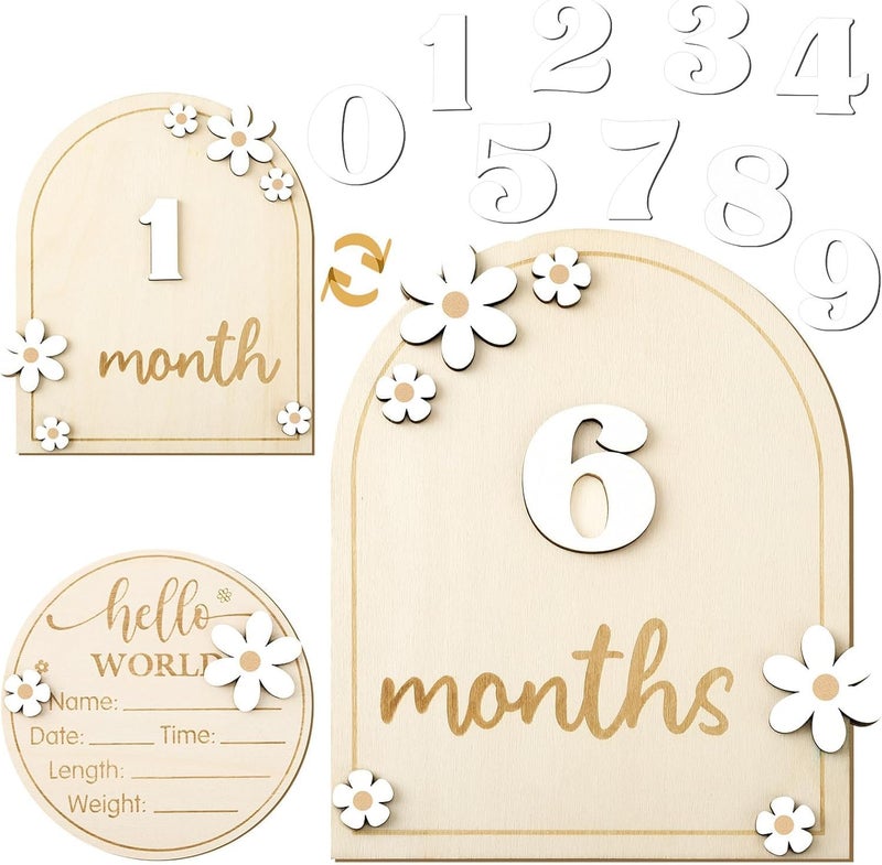Haoser Daisy 3D Baby Monthly Milestone, Wooden Baby Milestone Signs, Monthly Milestone Wood Discs, Baby Milestone Discs (Daisy) - Image 1