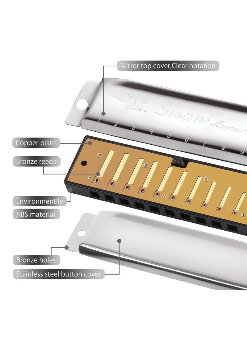 Swan - Blues Harmonica Mouth Organ 10 Hole C Key with Case, Diatonic Harmonica Gift for Professional Player, Beginner, Students gifts, Adult, Friends, Stainless Steel Silver - Image 1