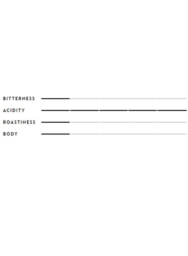 Nespresso Colombia, Vertuo Range 10 Capsules (230ml) - Image 4