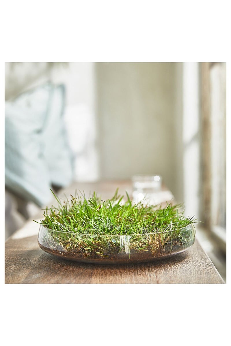 Scented Tealight - Fresh Grass/Light Green, 3.5 hr Burn Time, Renewable Plant-Based Wax - Image 2