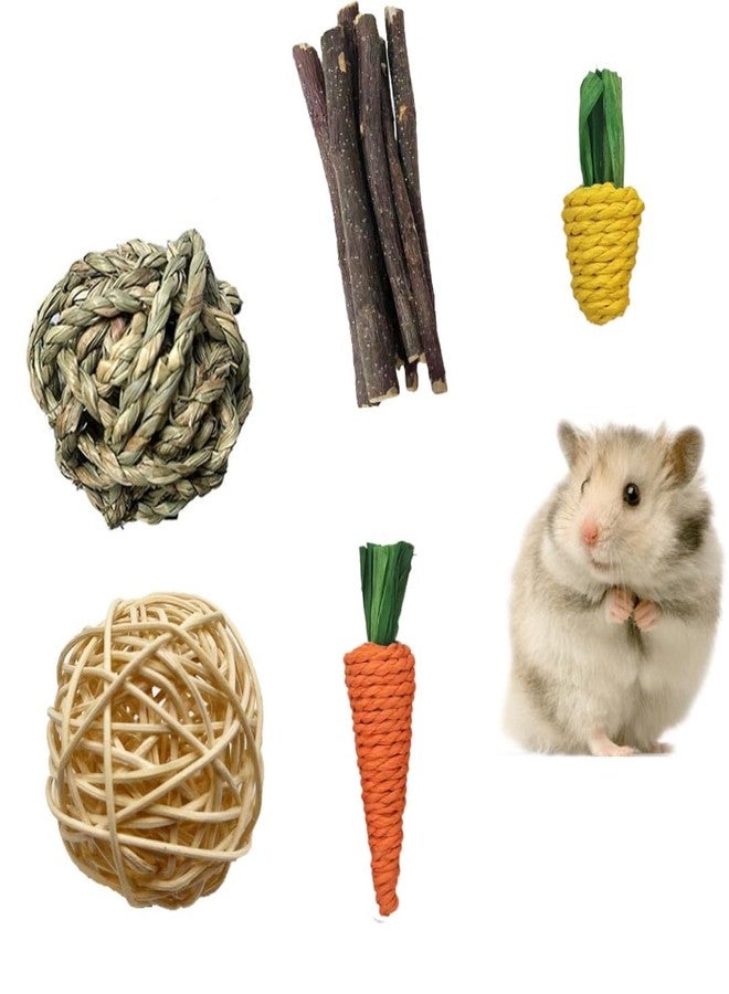 DEFKIYT Hamster Chew Toys, 11PCS Rabbit Molars Care Set Sweet Bamboo Water Grass Ball and Cake Apple Branch Treats for Chinchilla - Image 4