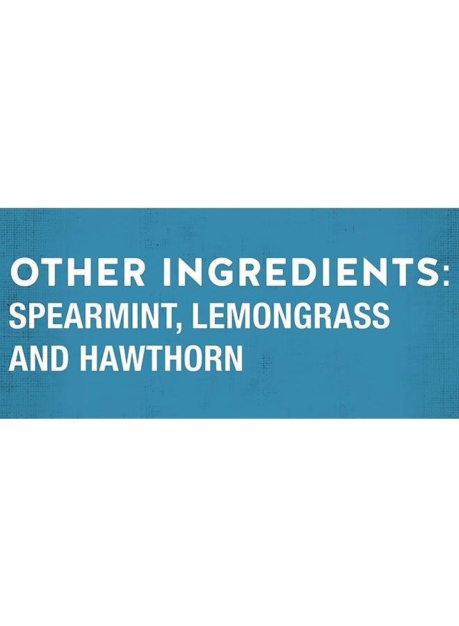 CELESTIAL SEASONINGS Sleepytime Extra Herbal Tea, Promotes Relaxation, 20 Count - Image 2